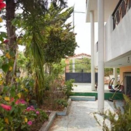 George 'S Nest Apartment Agios Spyridon  Bagian luar foto